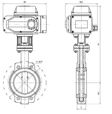Valvola a farfalla di chiusura elettrica a flangia per il centro del fluoro AC220V Standard DIN 1